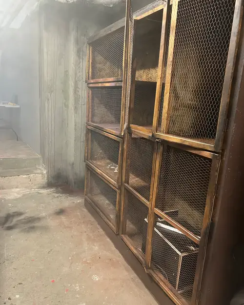 Nebelverhangene Vitrine in der Kulisse des Escape Rooms „Das geheime Elixier Grimmelshausens“ in Oberkirch