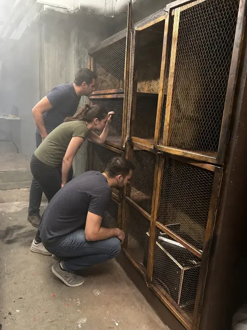 Drei Personen suchen im vernebelten Escape Room in Oberkirch hinter Gitterturen nach einem Hinweis